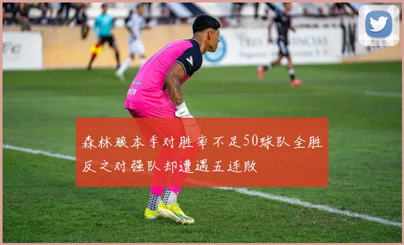 森林狼本季对胜率不足50球队全胜反之对强队却遭遇五连败